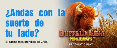 El Mejor Casino Online Chile